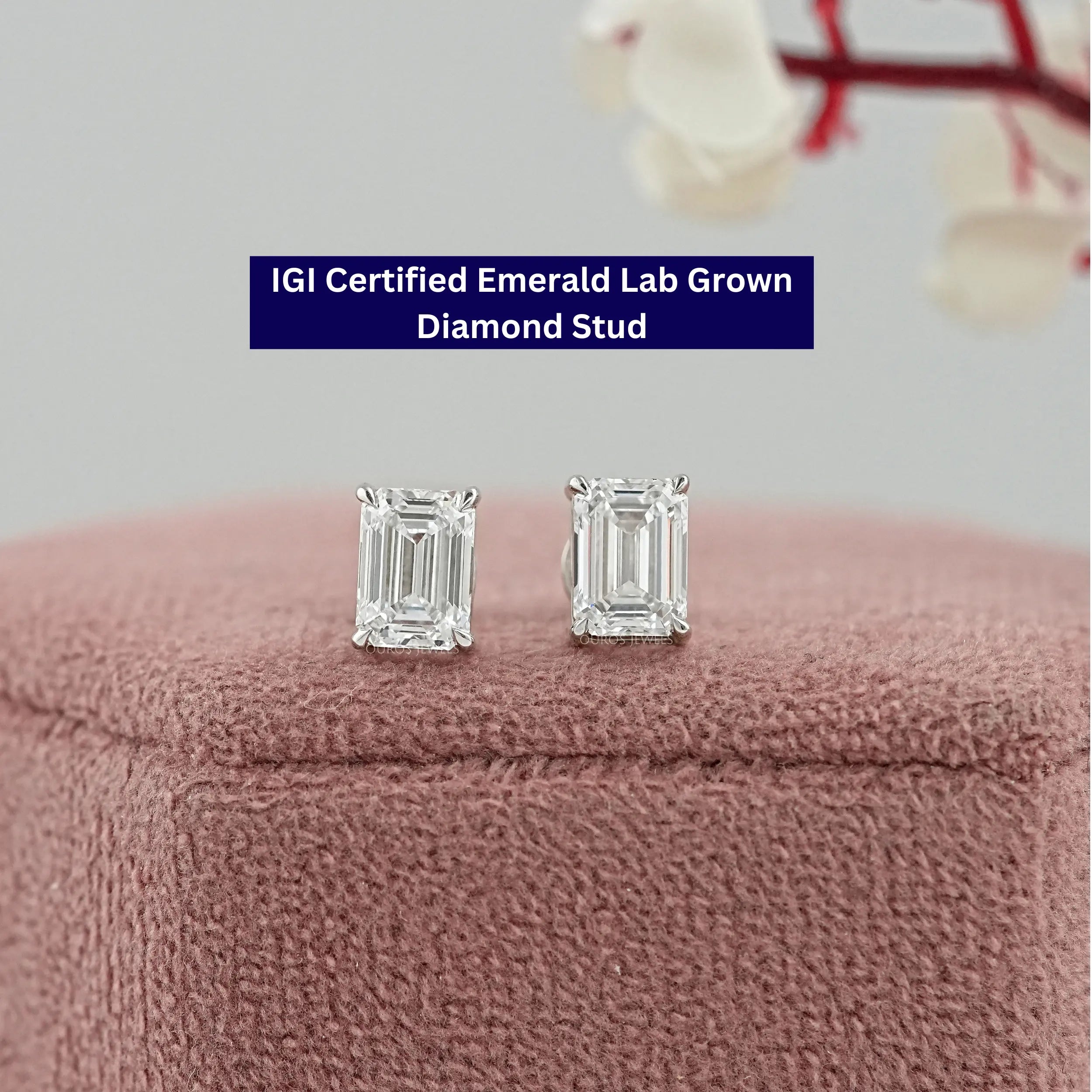 Emerald Cut Diamond Screw Back Earrings