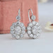 [Oval Cut Diamond Drop Earrings]-[Ouros Jewels]